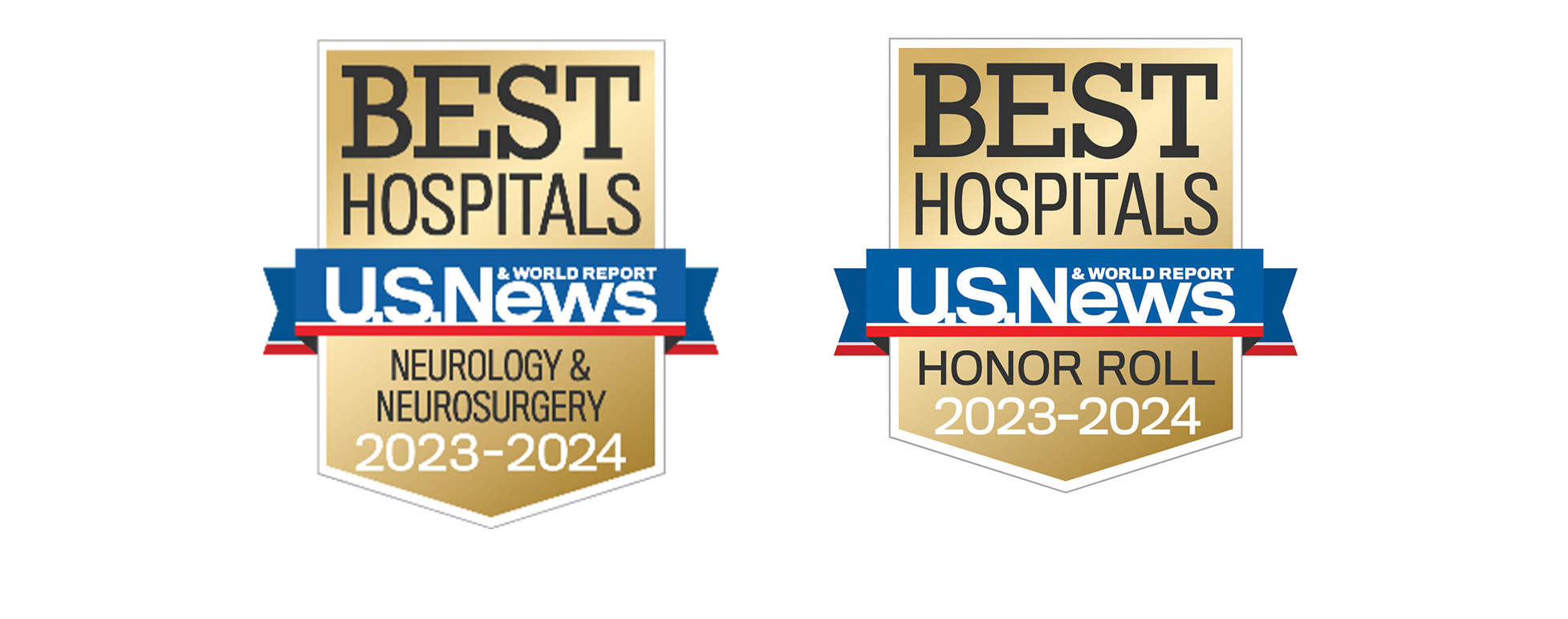 US News and World Report - Best Hospital Neurology and Neurosurgery and Honor Roll 2023 -2024 Badge 